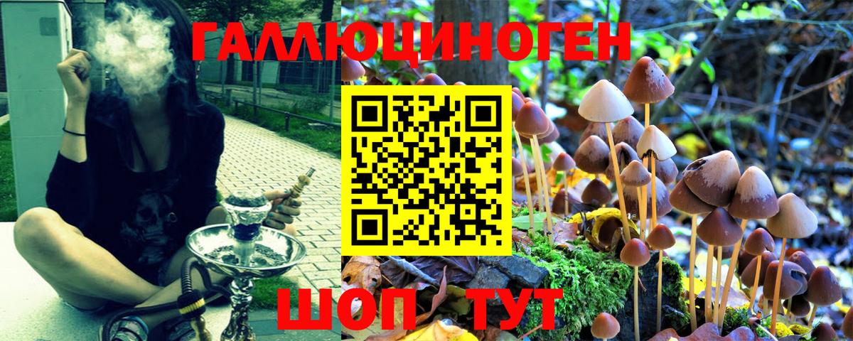 Галлюциногенные грибы мухоморы Сердобск