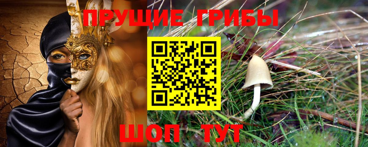 Сердобск  Псилоцибиновые грибы Psilocybine cubensis  Псилоцибиновые грибы Psilocybine cubensis  Вход с VPN 