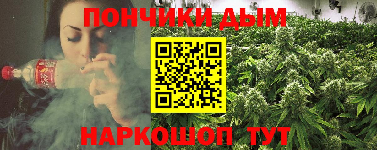 Бошки Шишки семена  Бошки Шишки ГИДРОПОН  МАРИХУАНА MAZAR  Канабис THC 21%  Вход с VPN  Сердобск 